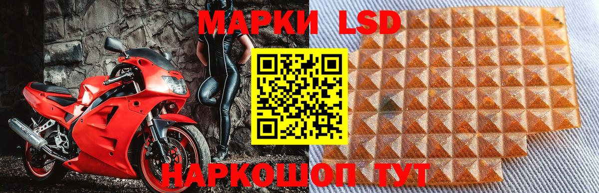 Сорочинск  Наркотические марки 1,5мг  Вход с VPN 