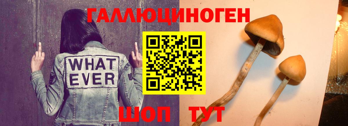 Галлюциногенные грибы прущие грибы  Вход с VPN  где найти наркотики  Галлюциногенные грибы мицелий  Сорочинск 